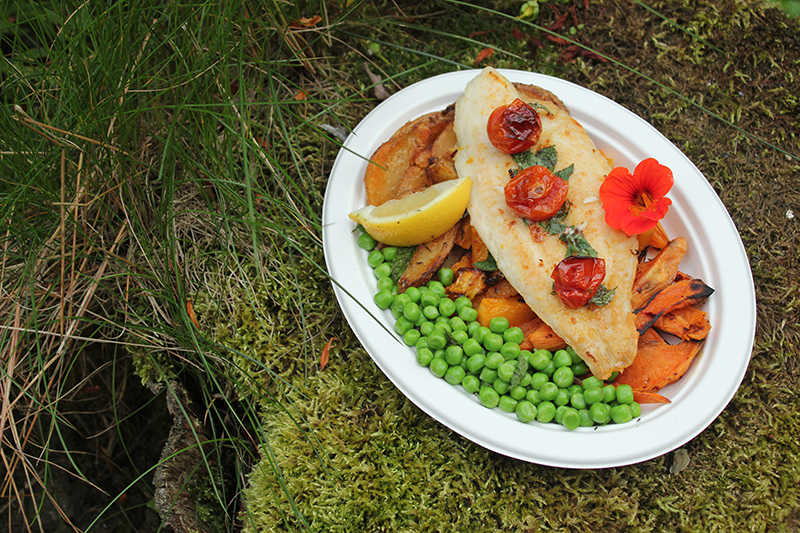 Vegware_concept_bagasse_1307_P020_800x.png