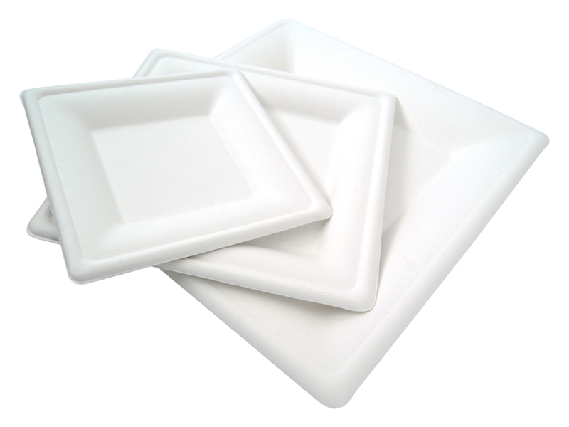 Vegware_group_bagasse_1309_VPSQ-08_groupshot_800x.png